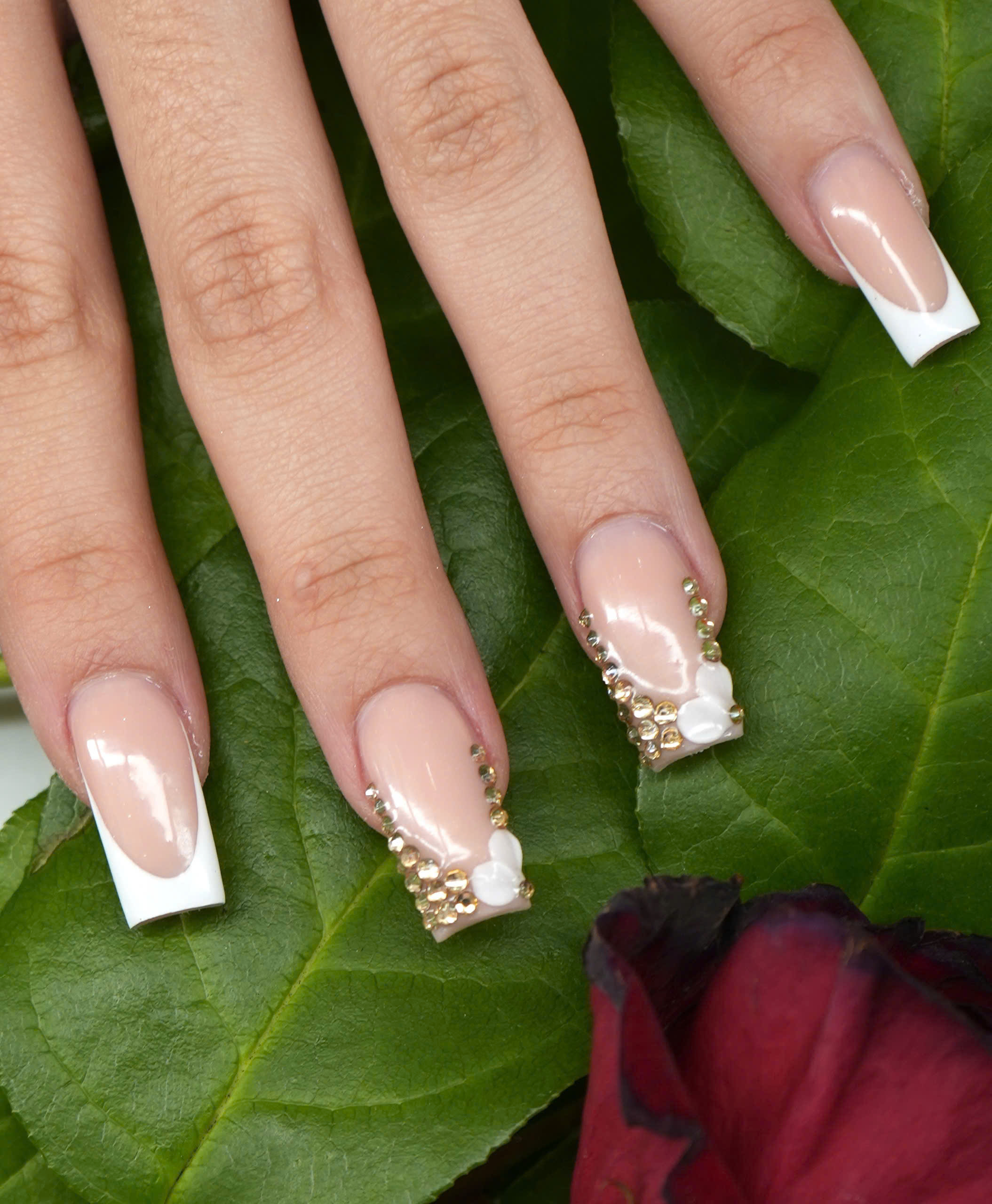 Manicure Image
