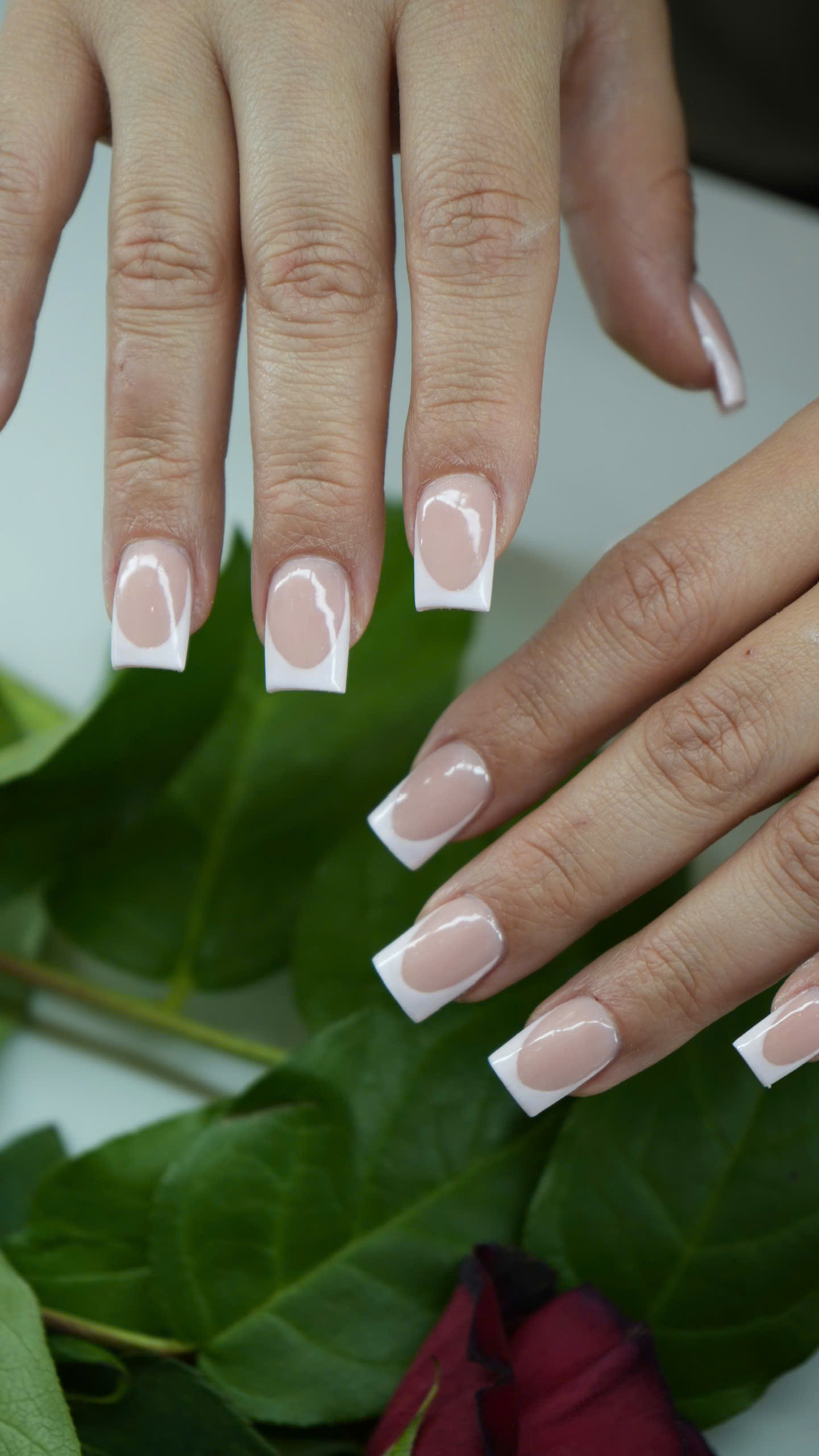 Manicure Image
