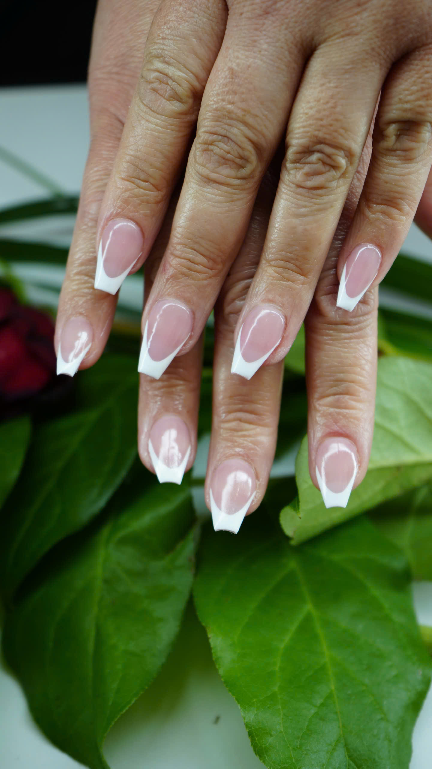 Manicure Image